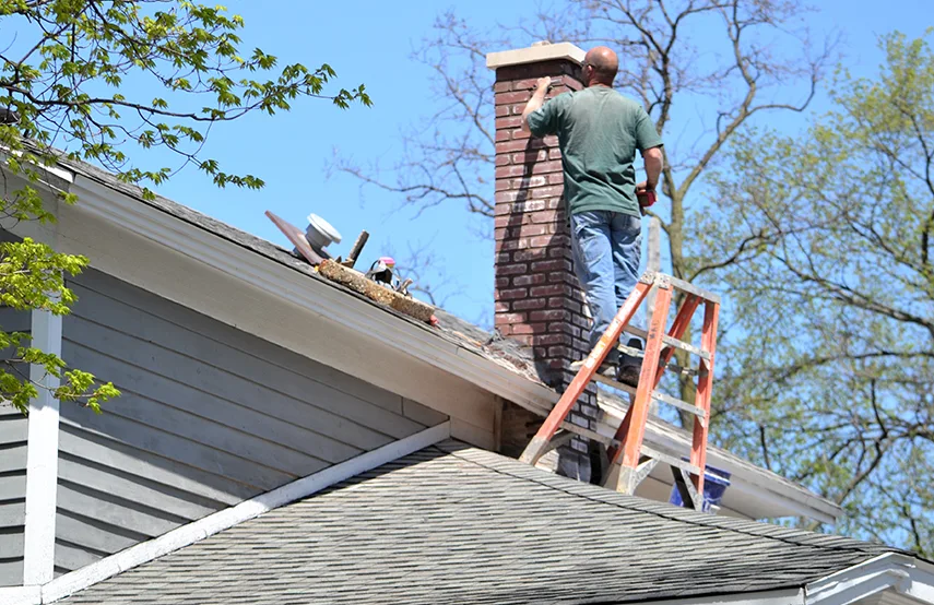 Chimney & Fireplace Inspections Services in Haslett, MI